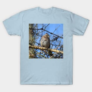 Wild birds, sparrow, wildlife gifts T-Shirt